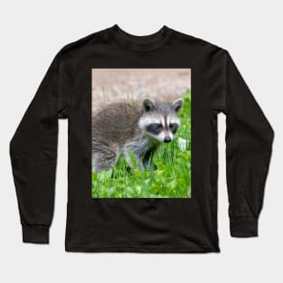 Baby raccoon in a green yard Long Sleeve T-Shirt